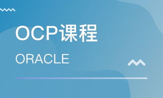 青島Oracle認證培訓指南 OCP培訓班選擇與排名解析